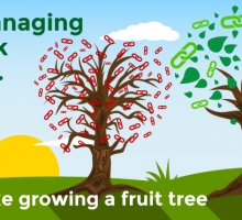 Why managing your link profile is a lot like growing a fruit tree