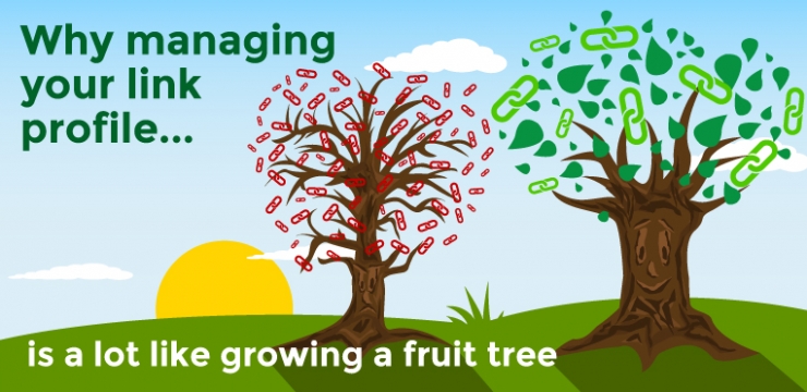 Why managing your link profile is a lot like growing a fruit tree