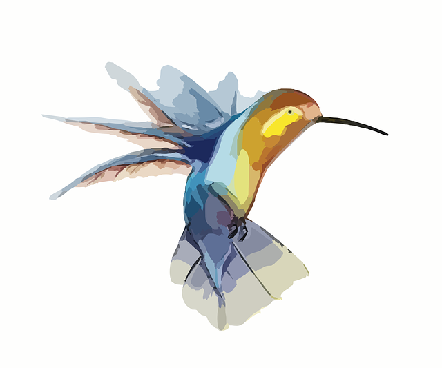 hummingbird-295026_640