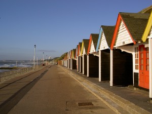 Web Design Dorset